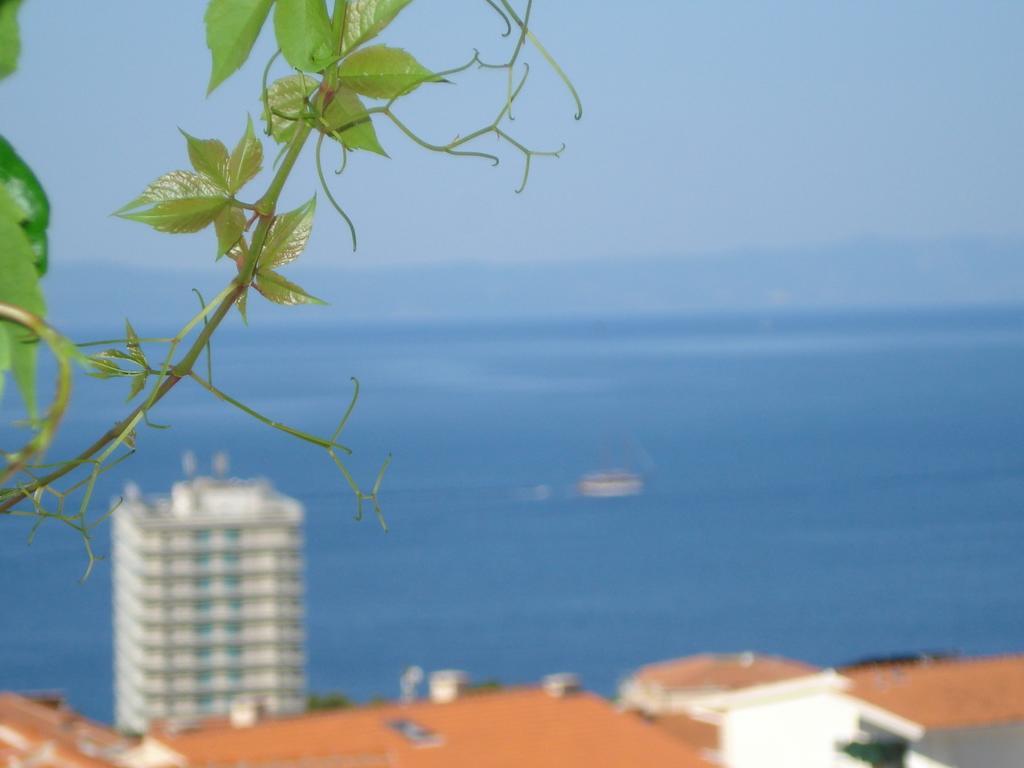מאקרסקה Milic Apartments מראה חיצוני תמונה